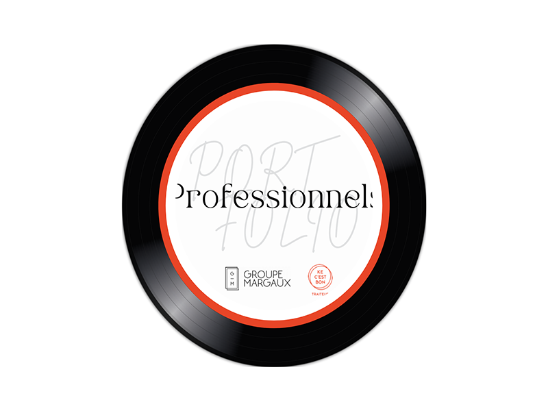 PORTFOLIO PROFESSIONNELS
