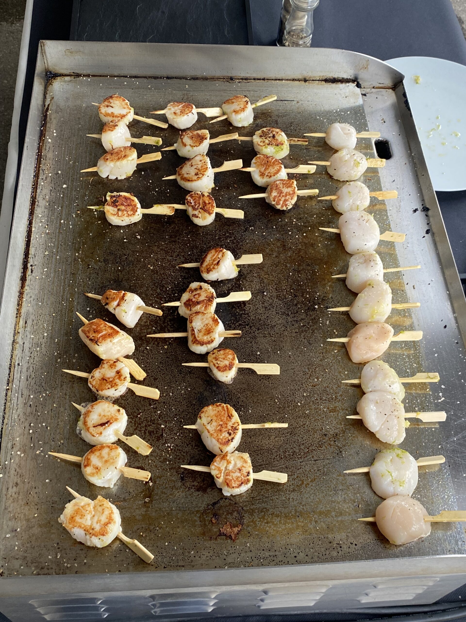 plancha 2